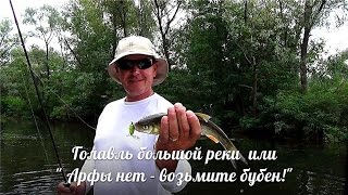 Голавль на ультралайтовые колебалки.