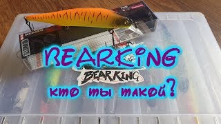 Воблер от BEARKING! Так ли он хорош?