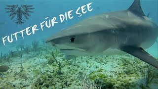 Schwarzer Engel - Futter Für Die See
