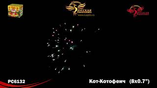 РС6132: Кот-Котофеич.