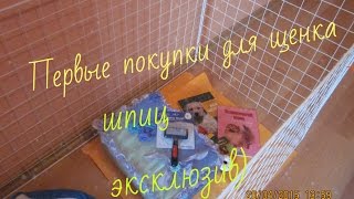 Первые покупки для щенка+о моей собаке
