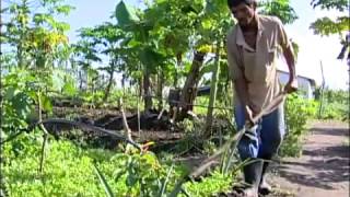 AGRICULTURA  MANDALA