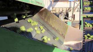 How Hay Cubes are Made
