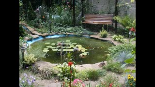 Снять дом с красивым участком в Одессе, пляж Золотой берег. Renting a house in Odessa