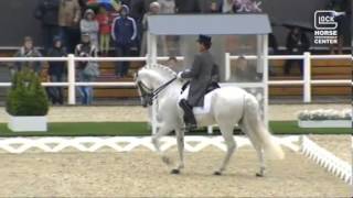 FUEGO DE CARDENAS  -  CDI Treffen 2013 (Austria) Kur Gran Premio