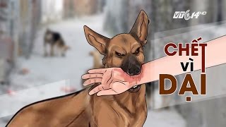 (VTC14)_Nghệ An: Bé 4 tuổi tử vong vì chữa bệnh dại bằng Đông y