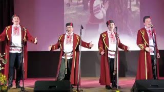 Народный ансамбль народной песни "Кемелина". Гэй, чарачка! Островец 06.05.2016