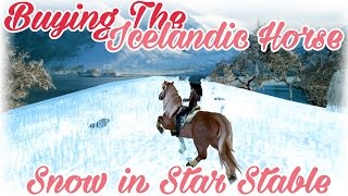 Buying the Icelandic Horse & Snow in Star Stable