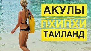 Купаюсь с АКУЛАМИ. Таиланд, Пхи-Пхи. #ГриГреТрип