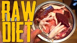 RAW Diet Full Day of Eating Cane Corso #canecorso
