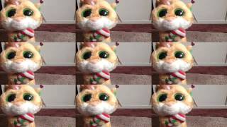 "Disco Christmas in Hamster Land" beanie boo mv