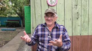 ВОПРОС ОТВЕТ о ЧИСТОТЕ ВИНОДЕЛИЯ
