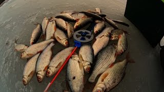 Ловля плотвы на безмотылку.  Рыбалка со всеми вытекающими