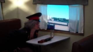 Чего стоит балалайка