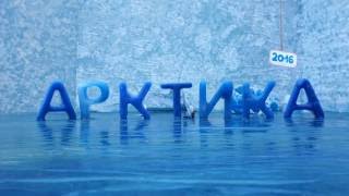 Арктика заставка