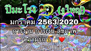?ปีมะโรง ? ประจำเดือน มกราคม 2563/2020 โดยคุณปภาวรินท์?
