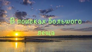 ЛЕЩ на БОРТОВЫЕ УДОЧКИ.