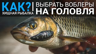 Как выбрать воблеры для голавля?
