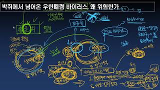 박쥐에서 넘어온 우한폐렴 바이러스, 왜 위험한가
