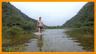 Дикая жизнь на островах