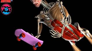Core training: Fitskate Manual Front Slide , Bracing & More...