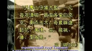 ПРЕЗЕНТАЦИЯ ПЫЛЬЦЫ СОСНЫ ОТ КОМПАНИИ НОВАЯ ЭРА