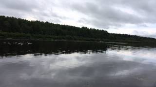 Лодка Афалина 360 + мотор hedea 9.8