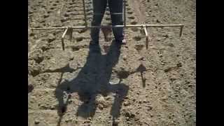 Посадка картофеля без лопаты Planting potatoes without a shovel