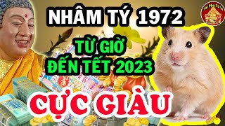 Chỉ Đích Danh Tuổi Nhâm Tý 1972 Giáp Tết 2023 Vận Đỏ Như Son Đổi Đời Giàu Có