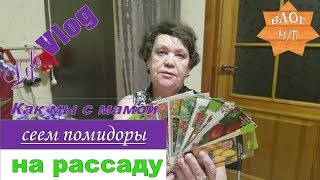 Как мы сеем помидоры на рассаду