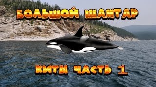 Русская рыбалка 3.99 Большой шантар Косатка