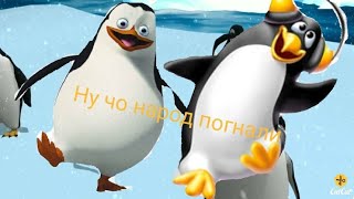 Флекс пингвинов подходит под любую песню.