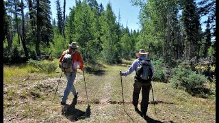 Arizona Trail Passage 39 - North Rim, Part 1 of 3