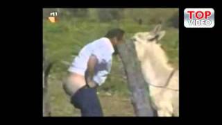 TOP VIDEO. Лучшее видео с TouTube. Выпуск 1. AT-TV.RU