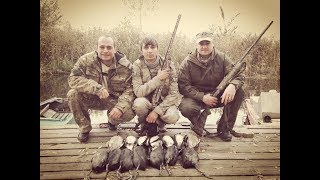 Утиная охота с чучелами на водохранилище. Северка и много лыски. Duck hunting with decoys.