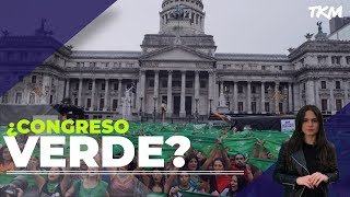 ¿Habrá aborto legal en Argentina con Alberto Fernández?