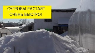 Как ускорить таяние сугробов в огороде? "Почернить" снег!Ольга Чернова