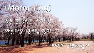 [MLog] MT-03 // 갬성쏠투 // 벚꽃 있는 벚꽃투어 1탄!! // 대성리 국민관광지 // 제2부 하늘에서 바라보니 더 이쁘구나~//