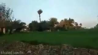 لما تسمع اغنيه اجنبي وانت اساسا حمار ???        #حاله_واتس_مسخره  #حالات_واتس_مضحكه