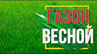 Уход за Газоном Весной  ✔️  Удобрение Газона ✔️  Советы Садоводам От Хитсад ТВ огород