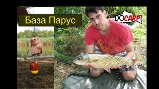 ПОЙМАТЬ КАРПА в завоз Обзор база Парус