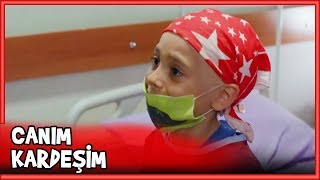 Kardeşi Mehmetcan'ı İyileştirecek - Küçük Ağa 23.Bölüm