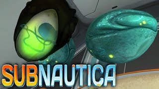 Subnautica - GASOPOD EGGS, UPDATES - S2:EP1 (Subnautica Early Access Gameplay)