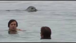 Ларги и отдыхающие купаются вместе в Приморье