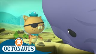 Octonauts - Big Fishes | Cartoons for Kids | Underwater Sea Education