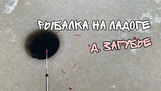 Выезд на рыбалку на Ладогу. Лиман. Загубье