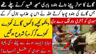 Gai Ki Puja Krne Waloun Ka Anjaam Kya Huwa? - Timeline