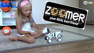Интерактивная игрушка - Собака Зумер. Ярослава играет с роботом собакой Zoomer