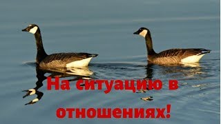 На ситуацию в отношениях!!!