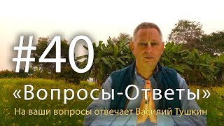 "Вопросы-Ответы", Выпуск #40 - Василий Тушкин отвечает на ваши вопросы